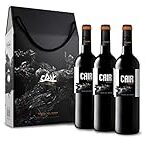 Descubriendo el Dominio de Cair: Análisis y comparativa de uno de los mejores vinos