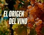 El Fascinante Origen del Vino: Análisis y Comparativa de las Mejores Cepas