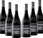 Análisis detallado de Ramón Bilbao Edición Limitada 2017: ¡Descubre por qué es uno de los mejores vinos del año!