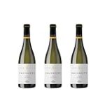 Análisis del Polvorete Emilio Moro: Descubre uno de los mejores vinos en comparativa