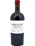Análisis detallado: Dominio del Pidio 2019, un vino que marca la diferencia