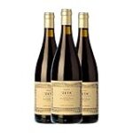 Análisis y comparativa de los mejores vinos de las Bodegas Telmo Rodríguez: ¡Descubre sus joyas enológicas! Análisis y comparativa de los mejores vinos de las Bodegas Telmo Rodríguez: ¡Descubre sus joyas enológicas!