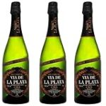 Descubre el brillo de las burbujas: Análisis y comparativa de los mejores cavas de España