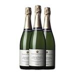 Análisis y comparativa de los mejores vinos: Descubre el encanto de Clos Lentiscus