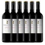 Análisis y comparativa: Angélica Zapata Cabernet Sauvignon, un vino de excelencia para paladares exigentes Análisis y comparativa: Angélica Zapata Cabernet Sauvignon, un vino de excelencia para paladares exigentes