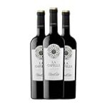 La Capilla Ribera del Duero: Análisis y comparativa de los mejores vinos de la región