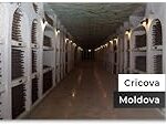 Descubre la excelencia enológica: Análisis y comparativa de los mejores vinos de Moldavia