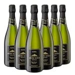 Cava Maset Gran Reserva: Análisis y comparativa de este exclusivo vino