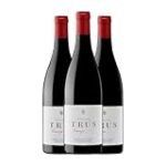 Análisis de los mejores vinos de la bodega Trus en la prestigiosa región vinícola Ribera del Duero