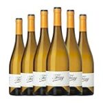 Análisis y comparativa de los mejores vinos: Descubriendo el encanto de Vida Nova Godello