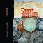 Descubriendo los exclusivos vinos de Pau: Análisis y comparativa de las mejores opciones