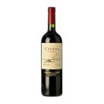 Análisis y comparativa: Descubriendo la excelencia enológica de Bodega Catena Zapata Análisis y comparativa: Descubriendo la excelencia enológica de Bodega Catena Zapata
