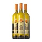 Análisis y comparativa de los mejores vinos Guitián: Descubre la excelencia en cada copa