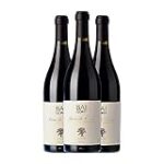 Análisis de Baigorri Finca La Canoca: Descubre el Mejor Vino para tu Colección Análisis de Baigorri Finca La Canoca: Descubre el Mejor Vino para tu Colección