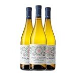 Pazo de Seoane: Descubre el tesoro enológico de Galicia