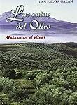 Explorando la influencia del olivo de Jaén en los mejores vinos: un análisis comparativo
