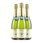 Análisis comparativo: Cava Sogas Mascaró, descubre el mejor vino para sorprender