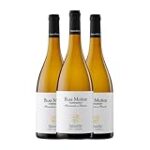 Descubre los Tesoros Vinícolas de Bodega Blas Muñoz: Análisis y Comparativa de sus Mejores Vinos