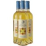 La Elegancia del Tiempo: Análisis y Comparativa de los Mejores Vinos