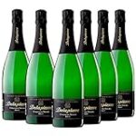 Viñagamo Etiqueta Negra Frizzante: Análisis y Comparativa de un Delicioso Vino Espumoso