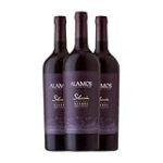 Análisis y comparativa de los mejores Alamos Malbec: Descubre el placer en cada copa