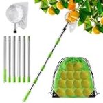 El momento crucial: La importancia de la cosecha de uva en la elaboración de los mejores vinos en España